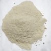 Agua de Horchata